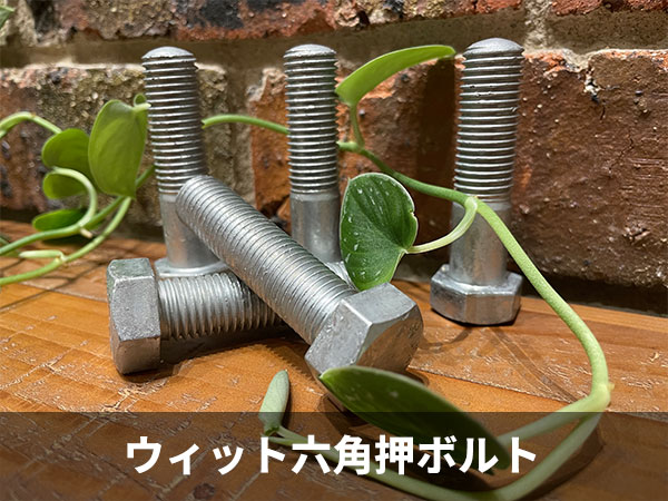 ウィット-六角押ボルト